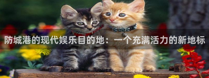 韦德1946体育官方入口：防城港的现代娱乐目的地：一个充满活力的新地标