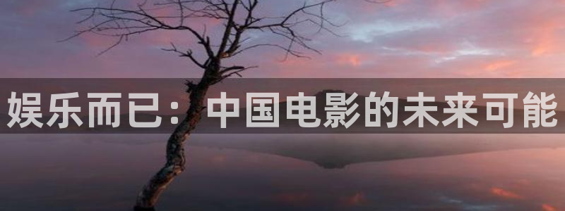 韦德1946源于英国：娱乐而已：中国电影的未来可能