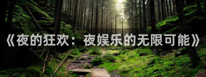 韦德1946网址：《夜的狂欢：夜娱乐的无限可能》