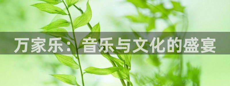 韦德1946安卓二维码：万家乐：音乐与文化的盛宴