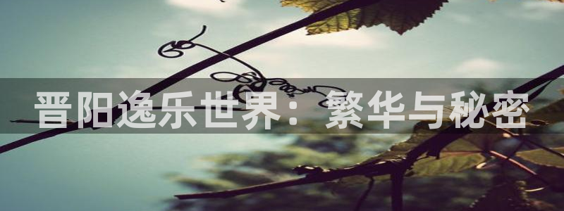 韦德1946网址：晋阳逸乐世界：繁华与秘密