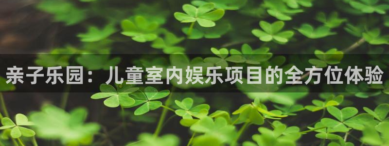韦德1946网址：亲子乐园：儿童室内娱乐项目的全方位体验