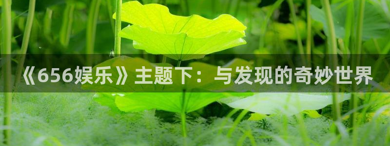 韦德1946源于英国：《656娱乐》主题下：与发现的奇妙世界