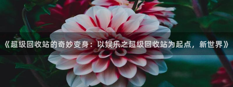 韦德1946体育官方入口：《超级回收站的奇妙变身：以娱乐之超级回收站为起点，新世界》