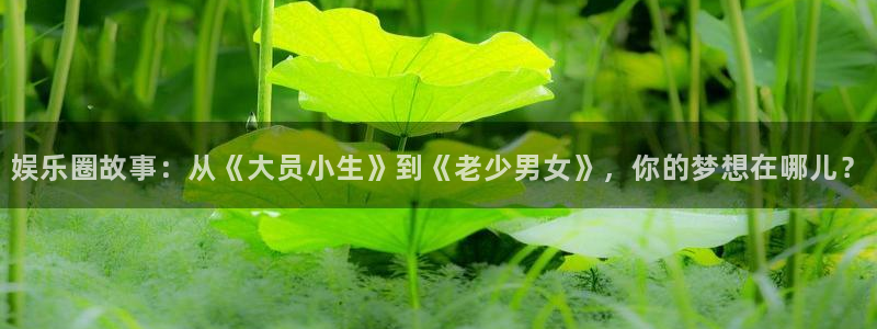 韦德1946bv1946：娱乐圈故事：从《大员小生》到《老少男女》，你的梦想在哪儿？