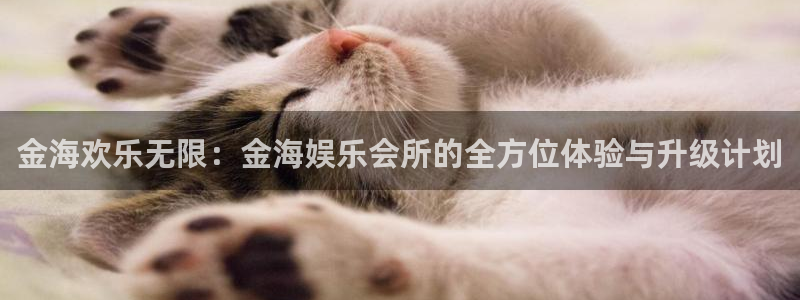 韦德1946官网：金海欢乐无限：金海娱乐会所的全方位体验与升级计划